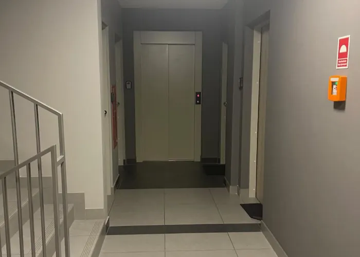 Sunflower Baluckiego Street