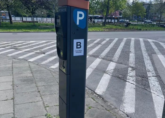 Sunflower Baluckiego Street *